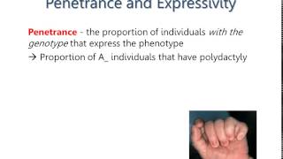 Spring 2015 Lecture 5  Penetrance and Expressivity [upl. by Rossing]