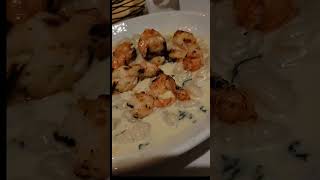 Gnocchi Gorgonzola wSpinach amp Shrimp Sangria Fried Calamari  Cara Mia of Floral Park yumm [upl. by Anaizit]