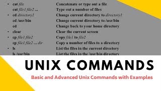 Basic and Advanced Unix Commands with Examples Tutorial 2 Part A [upl. by Haet]