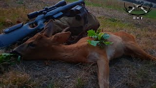 Bockjagd zur Blattzeit  Erlegung eines abnormen Jährlings  Das Einhorn  Vlog 17 [upl. by Atileda397]