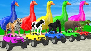 5 Giant Duck Cartoon Cow Giraffe Elephant Lion Paint Wild Animals Crossing Fountain Animtion [upl. by Tate]