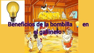 🔴 Todos los beneficios de la bombilla en el gallinero❓Que tanto benefician a las gallinas ❓❓❓ [upl. by Nodab]