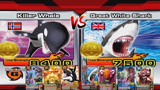 Killer Whale VS Great White Shark  3 Game  Best of 3  Versus Mode  Animal Kaiser Evo 8 — Eps 70 [upl. by Ranice]