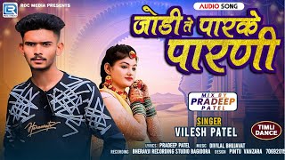 जोडी ते पारके पारणी  Jodi Te Parke Parni  Vilesh Patel  New Timli Song 2024  Timli Dance [upl. by Chic]