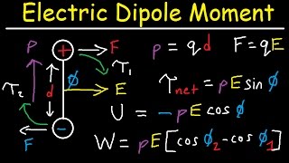 Electric Dipole Moment Force Torque Potential Energy Work Electric Field Physics [upl. by Nerat79]