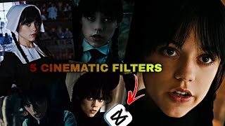 5 Cinematic Filters in Capcut  High Quality Tutorial [upl. by Daukas]