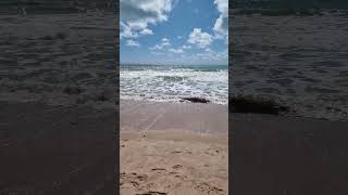 Praia de Intermares  Cabedelo PB youtubeshorts praia paraiba beach travel turismo landscape [upl. by Mencher]