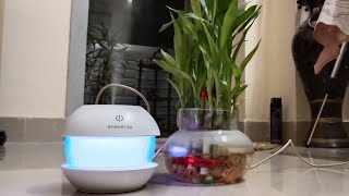 Humidifier  Uses And Benefits  Kaise Use Karen  Price of Portable Humidifier [upl. by Yllod584]