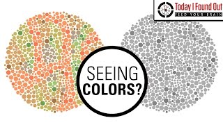 Can Color Blind People See More Colors When They Take Hallucinogenic Drugs [upl. by Fritze859]