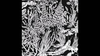 Eternal Tapestry  Wild Strawberries 2015 Full Album [upl. by Ignatius923]