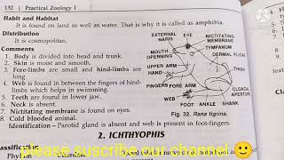 Rana tigrinafrog classification habitat and comment zoology practical bsccomments on rana tigrina [upl. by Baal294]