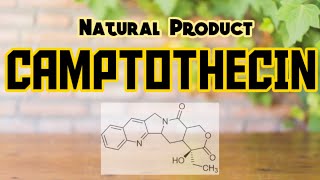 CAMPTOTHECIN  Natural Products [upl. by Slinkman]