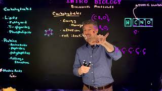 Biological Molecules Part 1 Carbohydrates and Lipids [upl. by Einnij]