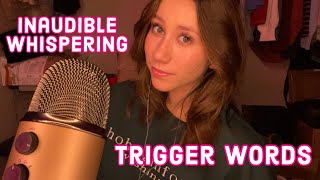 ASMR  inaudible repeating trigger words so sensitive [upl. by Esir]