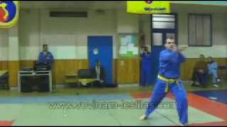 Quyen du sabre  Vovinam viet vo dao demo les lilas 24012009 [upl. by Arvy]