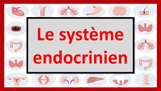 🔴ENDOCRINOLOGIE  LE SYSTÈME ENDOCRINIEN EN 06 MINUTES [upl. by Garceau492]