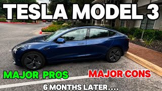 Pros and Cons of Owning a Tesla While Working a 95 [upl. by Cenac941]