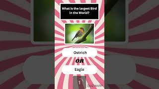 Pick The Right Answer Part 8  shorts viralshort quiz generalknowledgequiz [upl. by Savory]