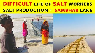 Natural Salt Production in Sambhar Salt lake [upl. by Roer]