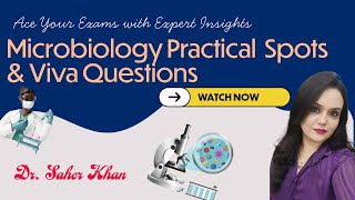 MICROBIOLOGY PRACTICAL  SPOTTING amp VIVA QUESTIONS PART 1  BY DR SAHER KHAN [upl. by Alilahk]