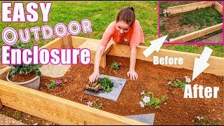 The BEST DIY Outdoor Enclosure For Tortoises Turtles amp Reptiles  HOW TO BUILD [upl. by Killoran]