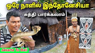 💥 இந்தோனேசியா காட்டுவாசி Taman Mini Indonesia  Tribes of Indonesia  ASRAF VLOG [upl. by Croom960]