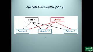 Economie Lorganisation des entreprises [upl. by Analli]