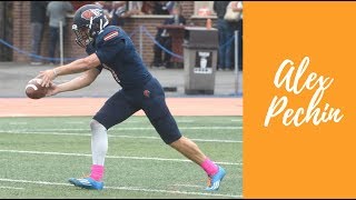 Alex Pechin P Bucknell  2019 NFL Draft Prospect Highlight  71 yard punt out at the 1 yard line [upl. by Tull]