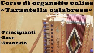 Corso di organetto Tarantella calabrese con l’organetto Tutorial organetto [upl. by Llyrrad]