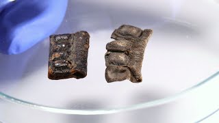 New Study Reveals Tefillin Phylacteries Were Not Colored Black 2000 Years Ago [upl. by Memory]