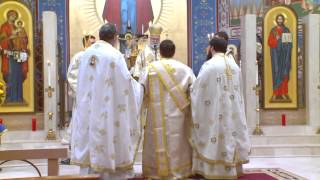 Ordination of Fr Michael [upl. by Ecad]