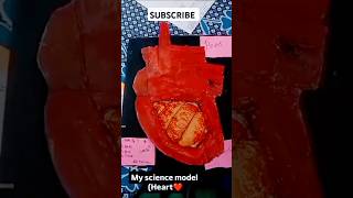 My Science Model Working Heard❤️❤️ Project 👍🏻👍🏻 shortsfeed youtubeshorts shorts KartikGaming89 [upl. by Ogg550]