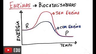 Proteínas  Enzimas [upl. by Suillenroc]