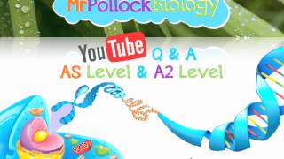 MrPollockBiology A Level Revision Q amp A 2014 [upl. by Arihk413]