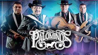 Los Palominos Mega Mix  Tejano Music  Norteños Mix 2023 [upl. by Ania]