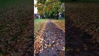 Windy autumn day in England [upl. by Brig]