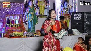 मैय्या मेरा छोटा सा परिवार मैय्या आ जाओ एक बार Singer Nena Thakur [upl. by Akcinehs808]