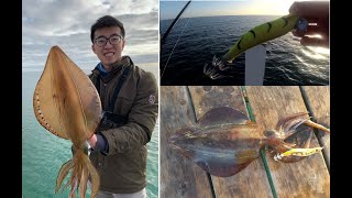 BIG Winter Squid in Port Phillip Bay [upl. by Adnirak]