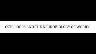 STAHLS  CH 9  PART 3  CSTC LOOPS AND THE NEUROBIOLOGY OF WORRY  psychiatrypsychopharmacology [upl. by Annayram]