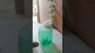 Diy Flower pot with a cold drink bottle idea 💡 other art and craft [upl. by Paolo]