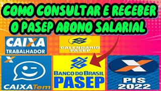 PIS PASEP NÃO CAIU NA CONTA O QUE FAZER PASSO A PASSO PARA RECEBER  CONSULTA DO PASEP [upl. by Solana223]