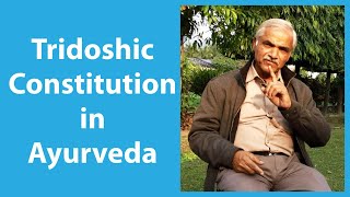 Tridoshic constitution  Tridosha Ayurveda theory characteristics balance and diet [upl. by Burke]