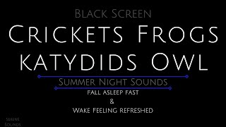 Black Screen 10 Hours  Crickets  Frogs  Katydids  Owl  Cricket Sounds for Sleeping [upl. by Whalen]