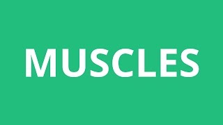 How To Pronounce Muscles  Pronunciation Academy [upl. by Valsimot]