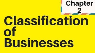 12 Classification of businesses IGCSE Business Studies [upl. by Dublin]