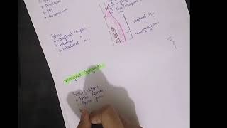 Anatomy of periodontium [upl. by Enorel]