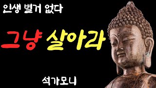 인생은 늘 사는 것이다  그 뿐이다  그냥 살아라  인생 조언  철학  삶의 지혜  불교 명언  오디오 북 [upl. by Hillyer]