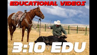 Ranch Roping Instructional Videos [upl. by Gunilla]