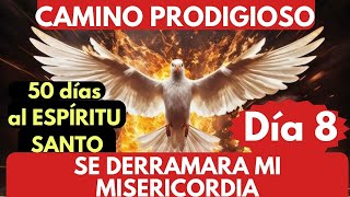 DIA 8🔥❤️🔥 CAMINO PRODIGIOSO 50 días al ESPÍRITU SANTO se DERRAMARÁ MI MISERICORDIA ❤️‍🔥🙏🔥 [upl. by Dnalyr]