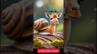 The origin of new species by AI creator animal fusion hybrids shorts youtubeshorts [upl. by Diskin661]